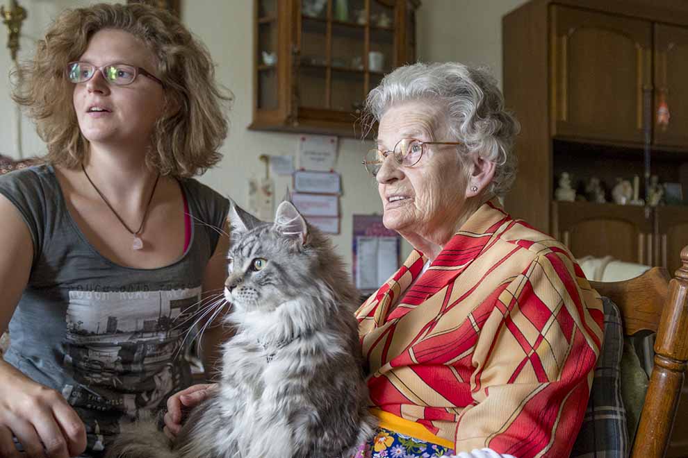 Dieren in de zorg